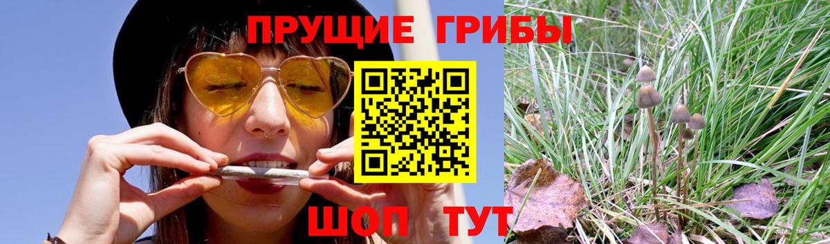 Псилоцибиновые грибы мицелий  Галлюциногенные грибы MAGIC MUSHROOMS  Павловский Посад  Вход с VPN 