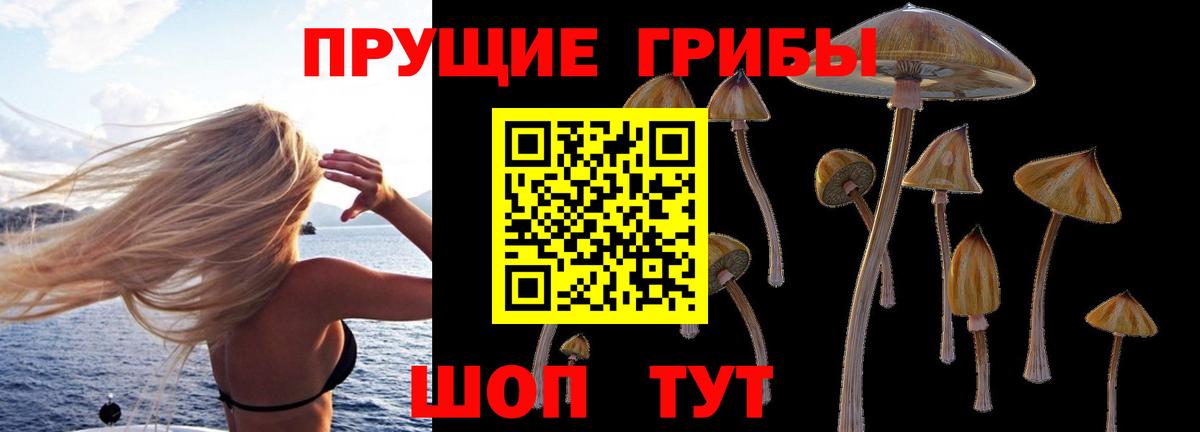 Псилоцибиновые грибы Psilocybe Павловский Посад